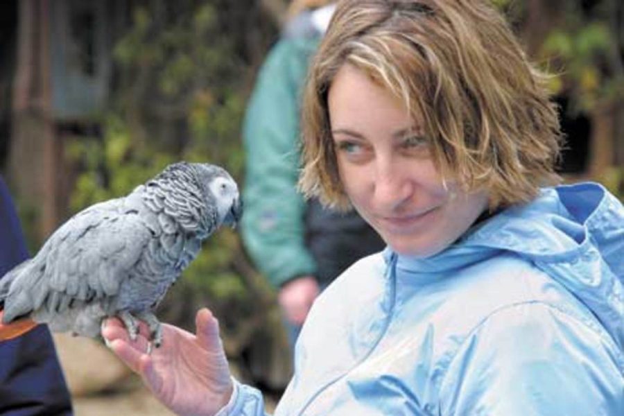 Second year EATM student Brianne Zanella, 25, keeps an eye on Cookie, a 25-year-old African Gray Parrot while practicing for Moorpark CollegeÂ´s anual Spring Spectacular.