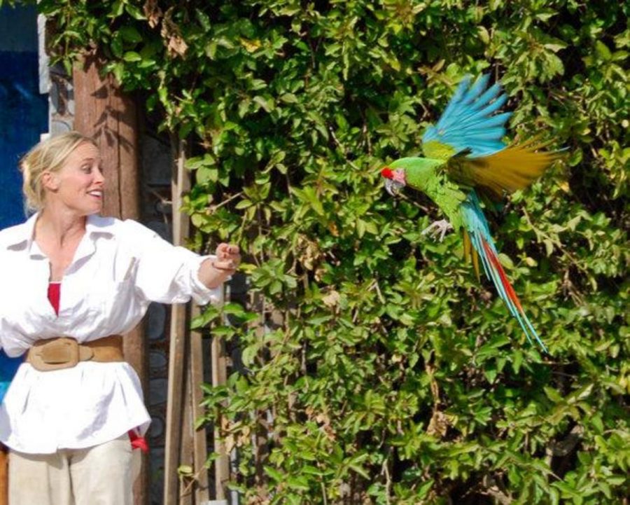 Dion Block brings a Military Macaw named Kiely in from off stage during the EATM program's Spring Spectacular.