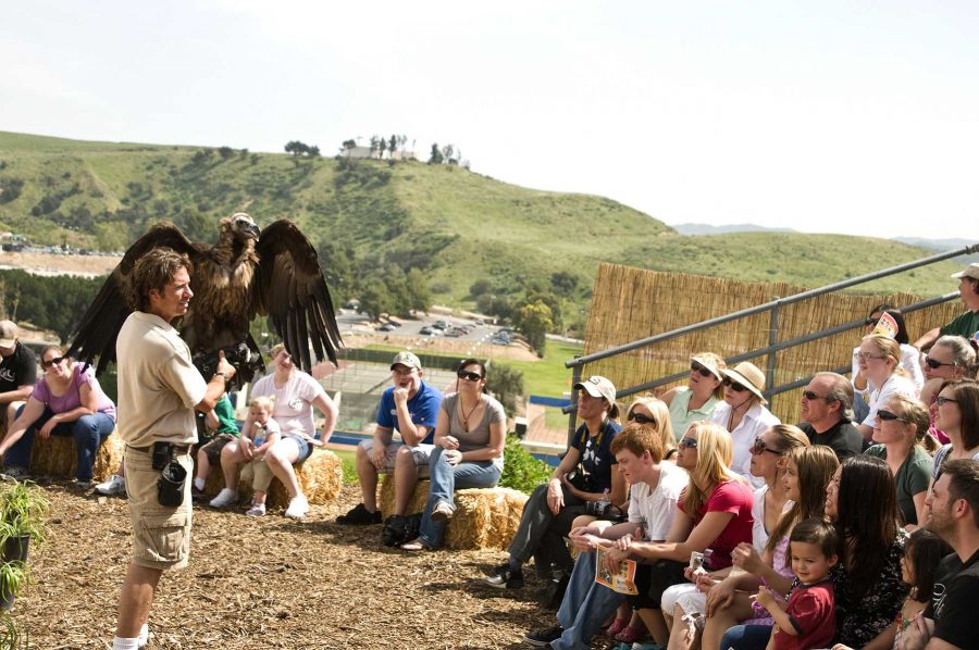 oseph Suffredini of Avian Entertainment breaks out a large bird for the crowd during a Creature Feature presentation.