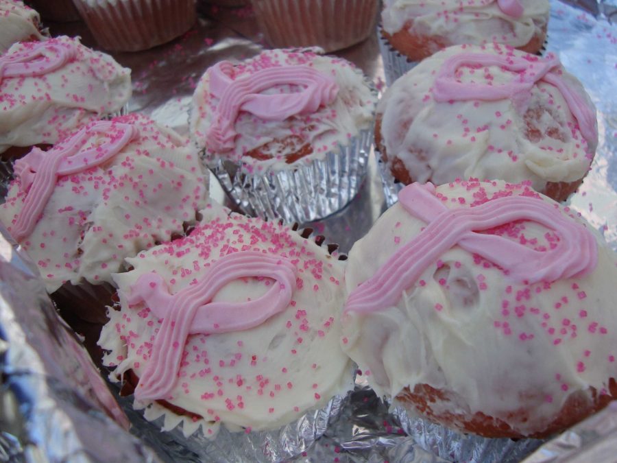 Strawberry cupcakes were among the favorites at the Sociology Club bake sale benefitting the Relay for Life. The pink ribbon frosting represented breast cancer awareness.