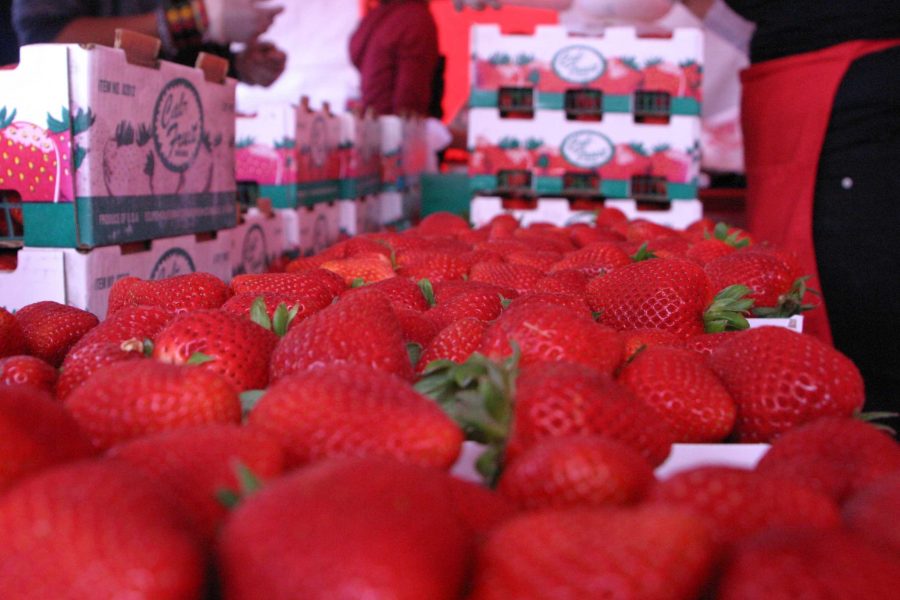 Tangy - The California Strawberry Festival takes place May 21 and May 22