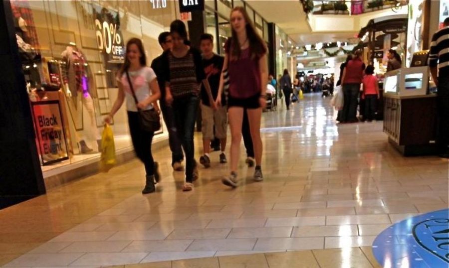 Shoppers on the lookout for Black Friday deals at the Thousand Oaks Mall