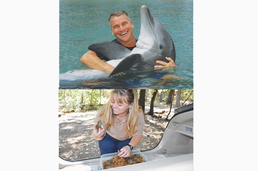 Top Photo: Bill Wolden holds Lono, an Atlantic Bottlenose Dolphin, at Dolphin Quest Hawaii.

Bottom Photo: Margaret Rousser releases baby Western Pond Turtles back into the wild. 