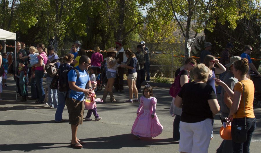 Last years Boo at the Zoo shows that both children and adults can enjoy the event.