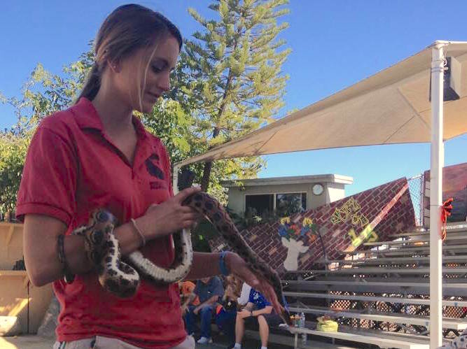 EATM student Elizabeth Smith holds Ray, a rainbow python, at Boo at the Zoo. Photo credit: Bridget Fornaro