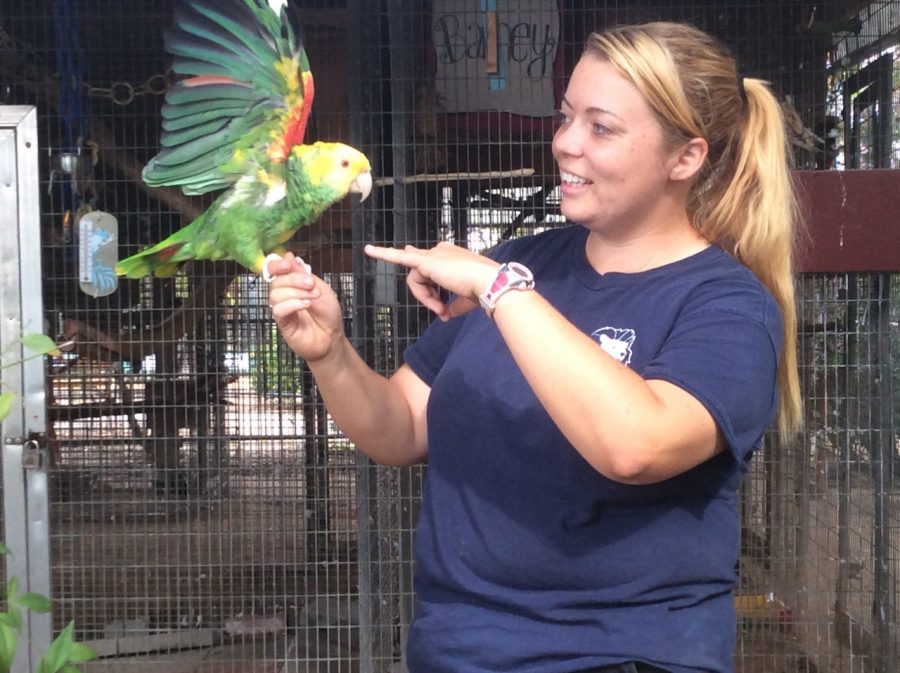 EATM student Kate Donovan, 30-years-old, commanding Barney the Yellow-headed Amazon Parrot to say hello. Photo credit: Bridget Fornaro