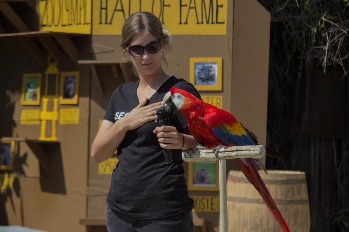 America's Teaching Zoo springs into action with a spectacular event