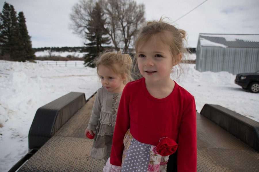 Sisters Makenna Terry, front, and Jayden Terry look on at their father preparing the hay to load onto the trailer for transportion on this cold and snowy afternoon at Little Lamb Farm in Denver, Colorado.
