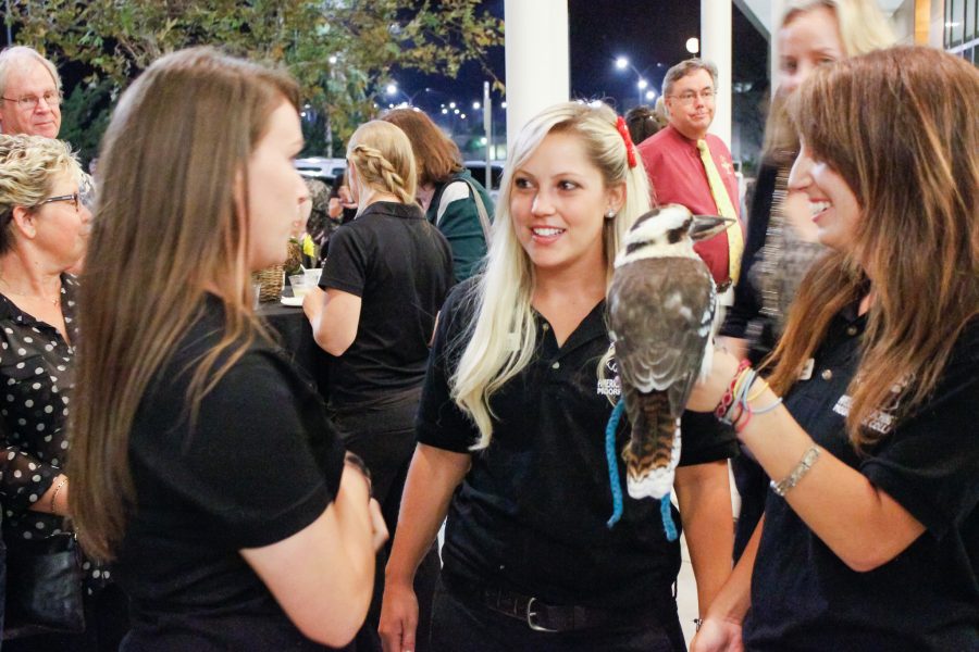 EATM students Jenny Tartaglino, Lucy Leeper, and Shani Eldar talk along with Gumdrop, the Laughing Kookaburra, during the Moorpark College Zoos Rendezvous at Zoo event at Americas Teaching Zoo in 2014. The EATM program hopes the funds from this years event will bring them closer to a proposed budget for a big cat exhibit. Photo credit: Student Voice Archive
