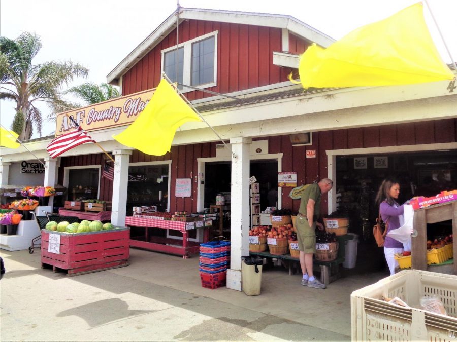 Shoppers+peruse+the+home-grown+fruits+and+vegetables+for+sale+at+A%26F+Country+Market.+This+farm+stand%2C+located+on+Olivas+Park+Drive%2C+Ventura%2C+Calif.+sells+only+locally-grown+produce+and+other+locally-grown+and+made+items%2C+like+flowers+and+honey.+Photo+credit%3A+Lisette+Davies+Ward