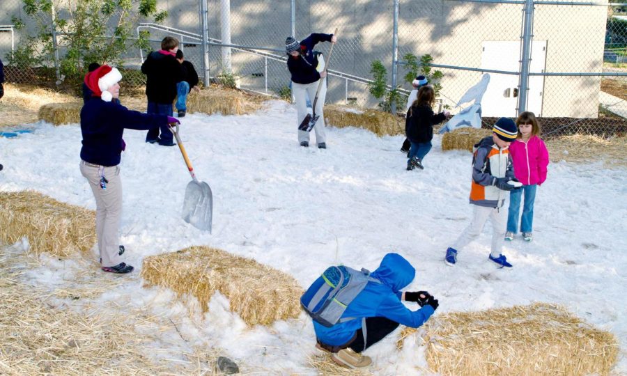 Children enjoy the snow play zone at the Moorpark College Zoo during its 2011 Arctic Lights Event. This years event will include 12 tons of snow to decorate the zoo. Photo credit: Jeffrey Farrar