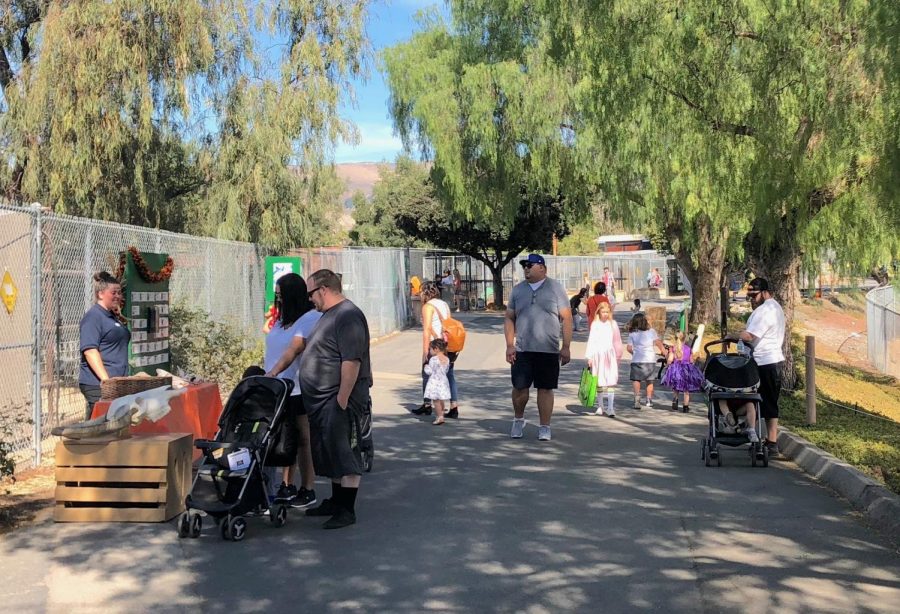 Parents check out the different booths in the zoo while children eagerly carry their bags looking for more candy. Photo credit: Shannon Holst