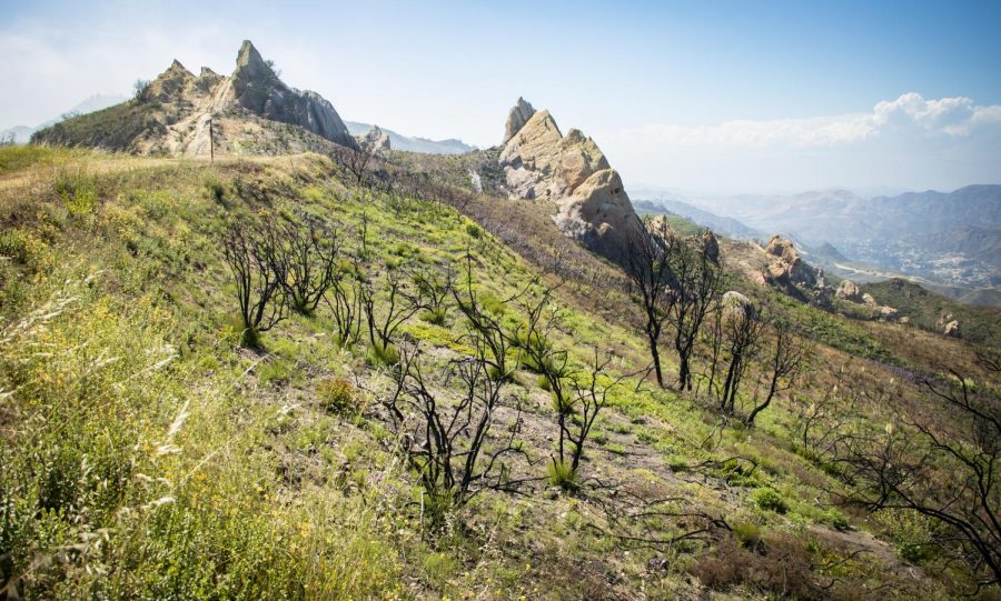 View of the of the Santa Monica Mountains off of Corral Canyon Road in Malibu, Calif. on June 22, 2019. Photo credit: Evan Reinhardt