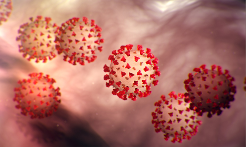 Image of COVID-19, Coronavirus. Photo courtesy of CDC.