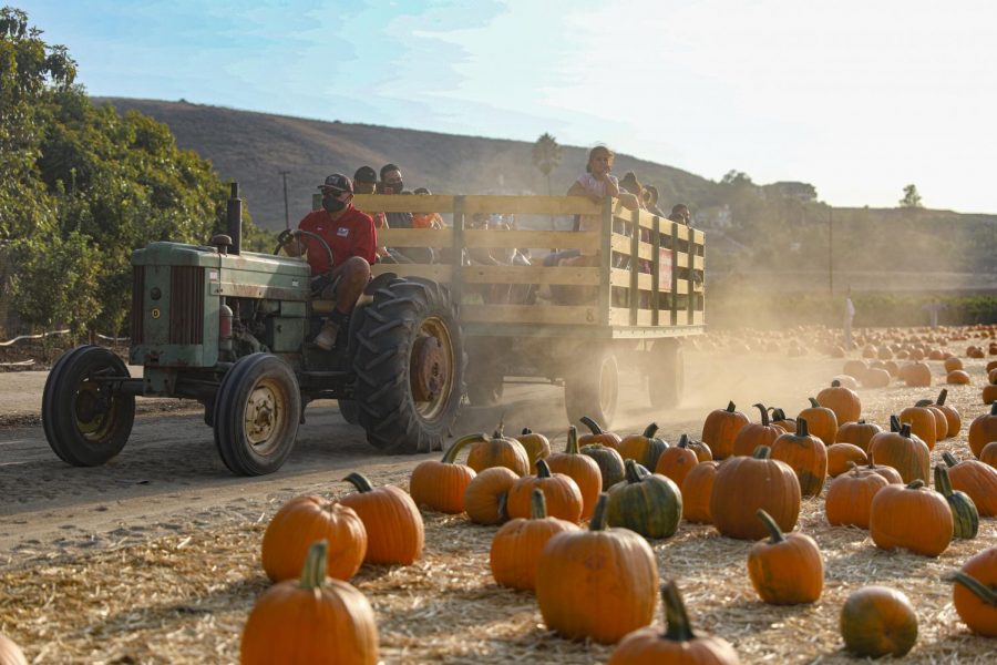 Underwood Family Farm’s Fall Harvest remains a yearly tradition for
