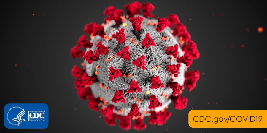 Image+of+COVID-19%2C+Coronavirus.+Photo+courtesy+of+CDC.