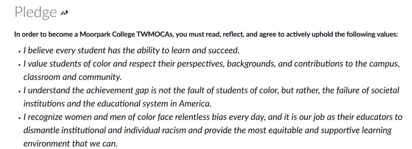 Screenshot of the TWMOCAs pledge from a zoom seminar on Thursday, Feb. 18, 2021.
