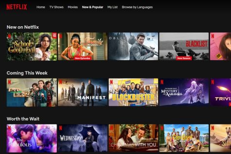 Netflix offers viewers a cheaper subscription plan that includes ads