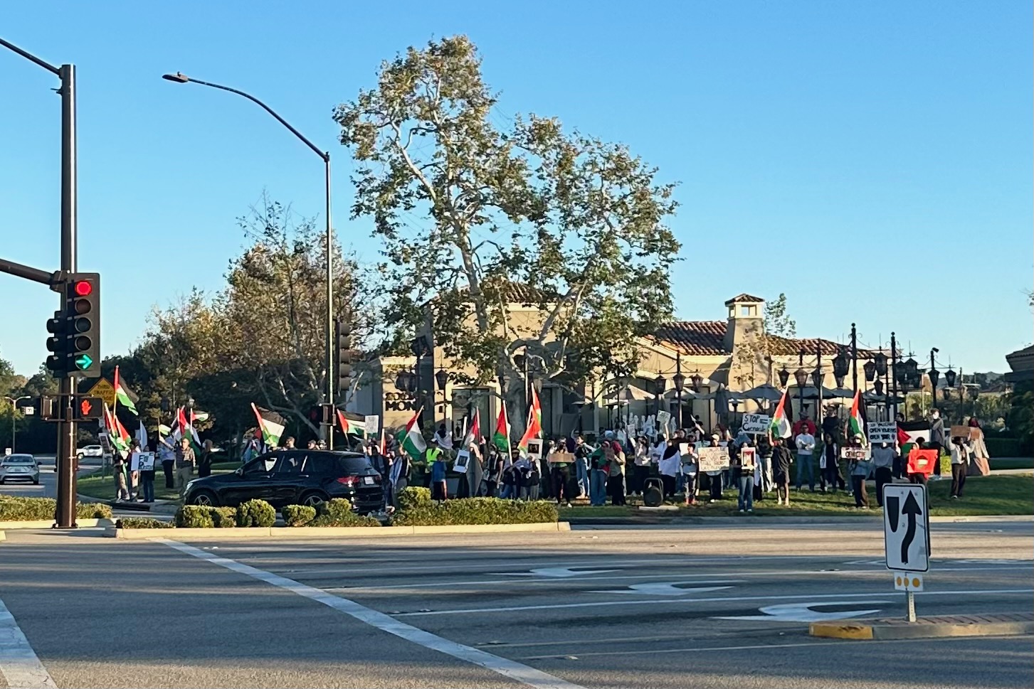 A picture of the main side of the "Freedom for Palestine Protest" on Nov. 5, 2023. This corner was opposite of the Shell gas station where Paul Kessler fell. Photo credit: anonymous Moorpark College student.