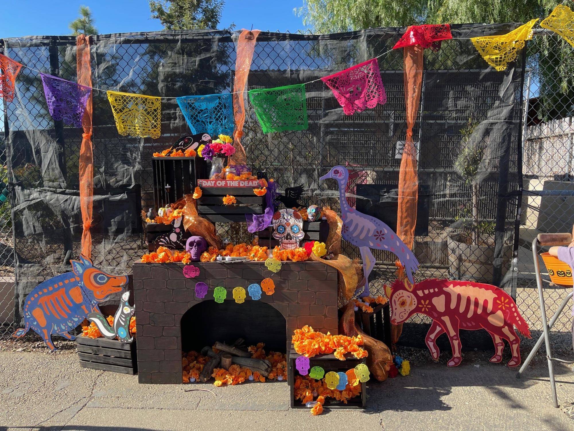 Day of the Dead ofrenda designed to offer photo opportunities for families. Photo credit: Madeline Dion