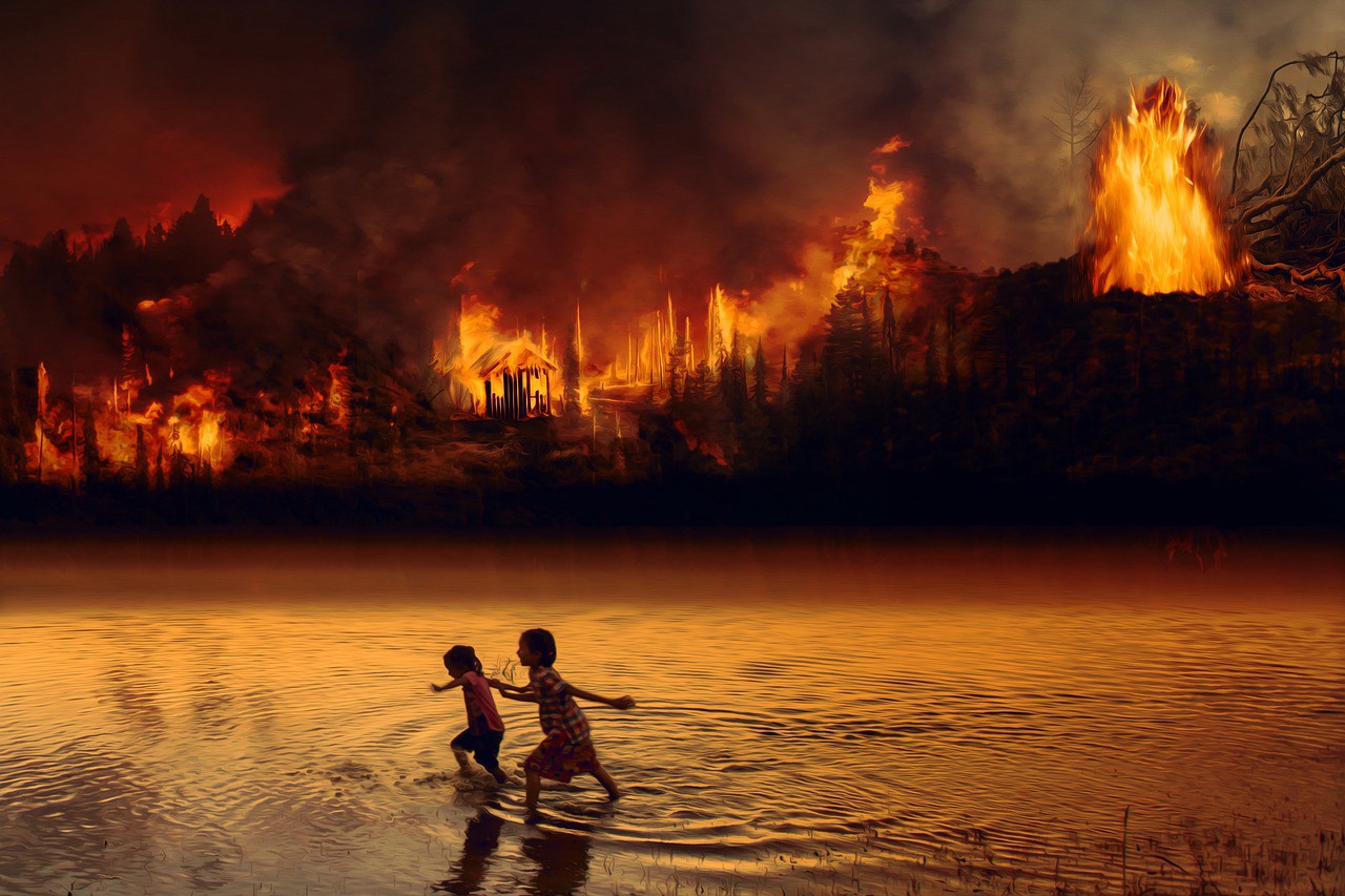 The Amazon rainforest faces several climate crises, two major crises being deforestation and fires. Many indigenous peoples flee the fires, having to escape from their homes to survive. Photo credit: Flickr