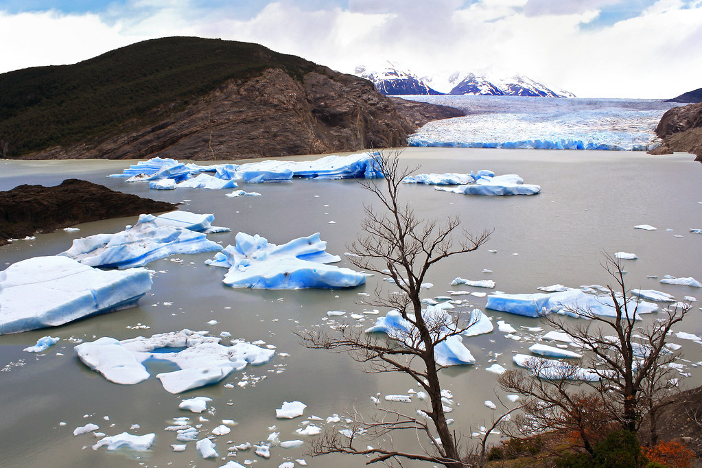 Glaciers across Chile, such as Grey Glacier in Patagonia, are melting at exacerbating rates correlated with the affects of climate change. Photo credit: Flickr